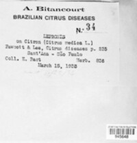 Image of Citrus medica